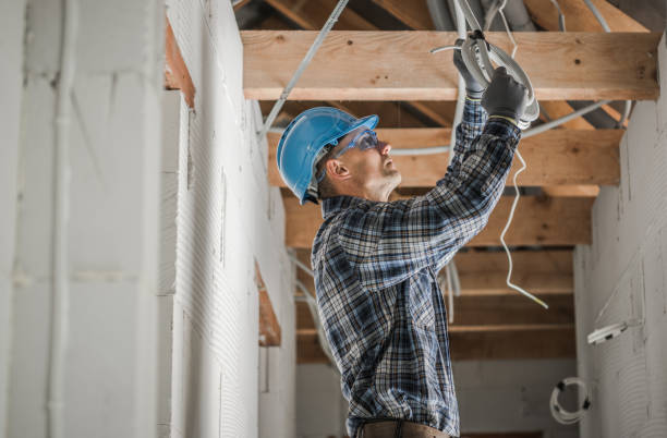 Best Ceiling Fan Installation Electrician  in Way, NE